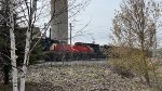 CN 3005 and CN 8903